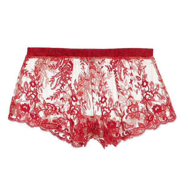Websites red lace apex mesh top and knicker set material